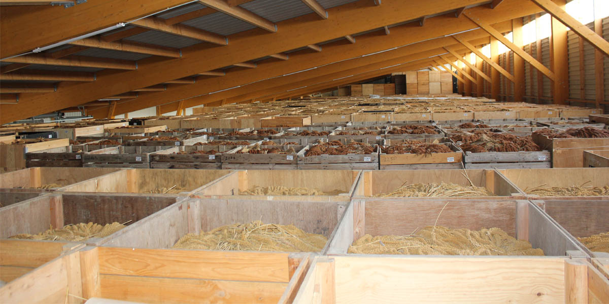 Gautier SA